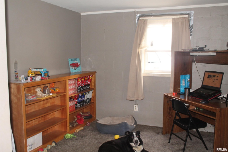 605 Freeman Street, Carbondale, Illinois 62901, 0 , 0 ,0,Residential Income,For Sale,Freeman,0,RMAEB458842