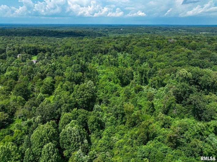 000 Parker City Road, Creal Springs, Illinois 62922, 0 , 0 ,0,Land,For Sale,Parker City,0,RMACA1037888