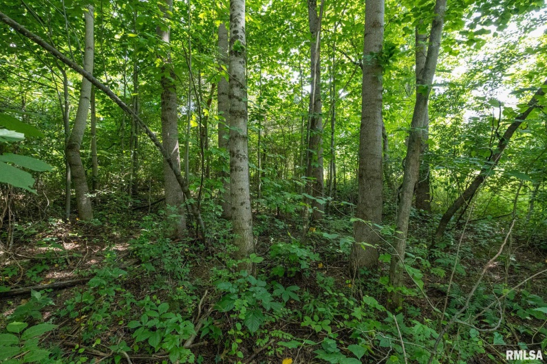 000 Parker City Road, Creal Springs, Illinois 62922, 0 , 0 ,0,Land,For Sale,Parker City,0,RMACA1037888