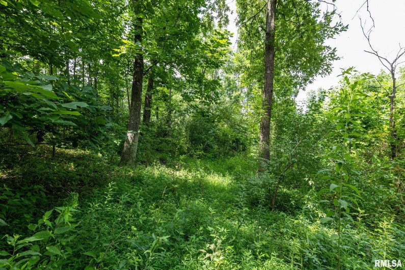 000 Parker City Road, Creal Springs, Illinois 62922, 0 , 0 ,0,Land,For Sale,Parker City,0,RMACA1037888