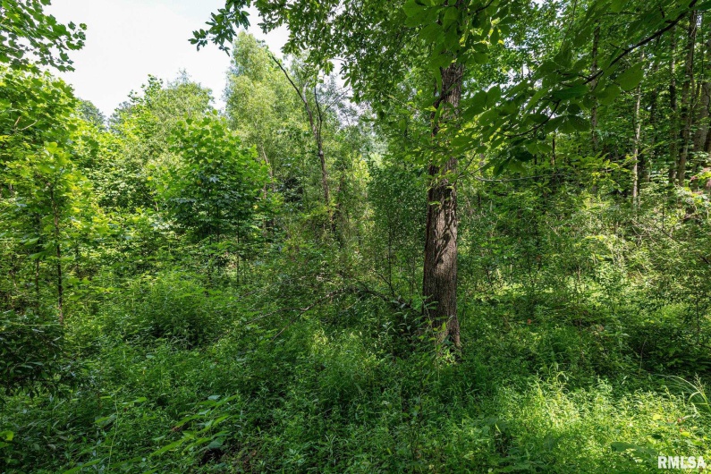 000 Parker City Road, Creal Springs, Illinois 62922, 0 , 0 ,0,Land,For Sale,Parker City,0,RMACA1037888