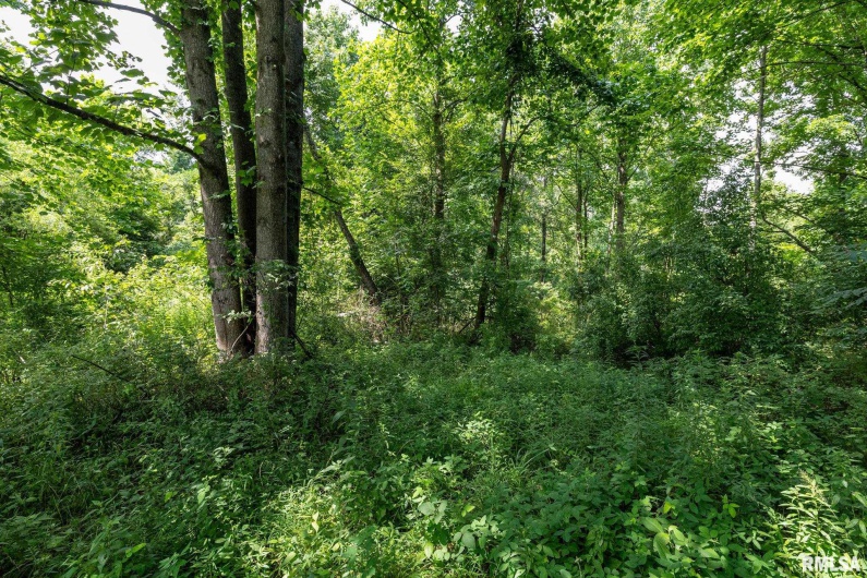 000 Parker City Road, Creal Springs, Illinois 62922, 0 , 0 ,0,Land,For Sale,Parker City,0,RMACA1037888