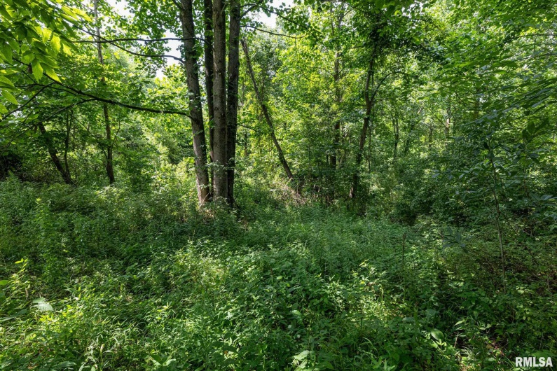 000 Parker City Road, Creal Springs, Illinois 62922, 0 , 0 ,0,Land,For Sale,Parker City,0,RMACA1037888