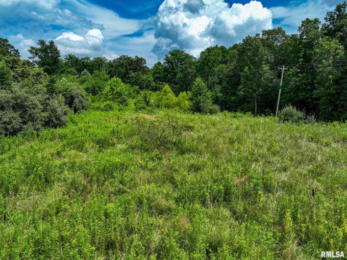 000 Parker City Road, Creal Springs, Illinois 62922, 0 , 0 ,0,Land,For Sale,Parker City,0,RMACA1037888