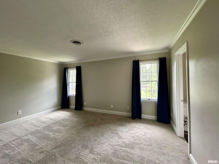 317 Lu Court, Carbondale, Illinois 62901, 4 Bedrooms Bedrooms, 0 ,3 BathroomsBathrooms,Residential,For Sale,Lu,0,RMAEB458892