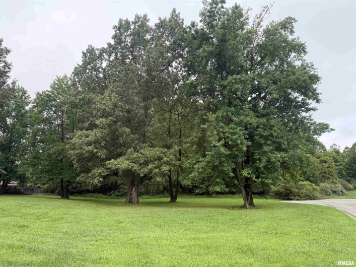 TBD Kokopelli Drive, Marion, Illinois 62959, 0 , 0 ,0,Land,For Sale,Kokopelli,0,RMAEB458894