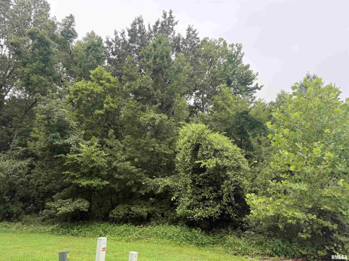 TBD Kokopelli Drive, Marion, Illinois 62959, 0 , 0 ,0,Land,For Sale,Kokopelli,0,RMAEB458894