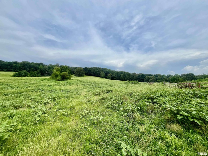 4155 Reevesville Road, Grantsburg, Illinois 62943, 2 Bedrooms Bedrooms, 0 ,2 BathroomsBathrooms,Residential,For Sale,Reevesville,0,RMAEB458908