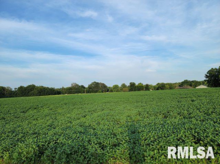 000 MAIN Street, DeSoto, Illinois 62924, 0 , 0 ,0,Land,For Sale,MAIN,0,RMAEB458981