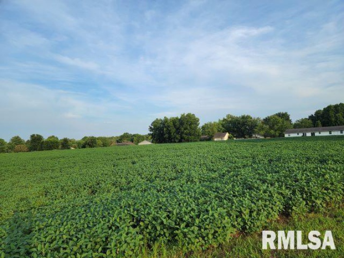 000 MAIN Street, DeSoto, Illinois 62924, 0 , 0 ,0,Land,For Sale,MAIN,0,RMAEB458981