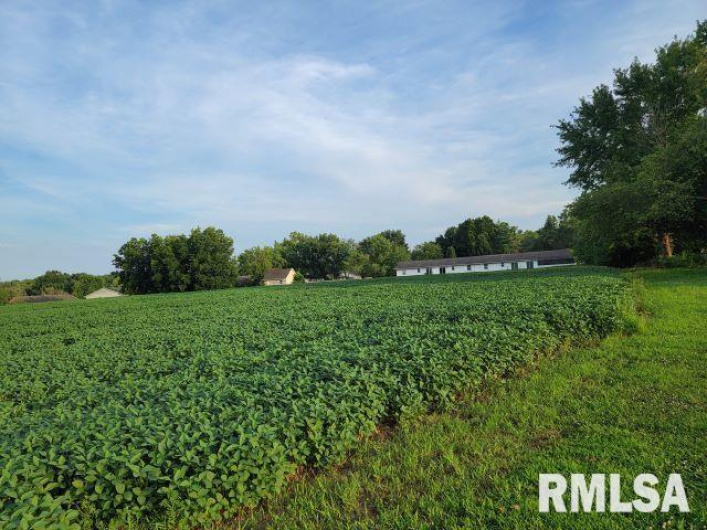 000 MAIN Street, DeSoto, Illinois 62924, 0 , 0 ,0,Land,For Sale,MAIN,0,RMAEB458981