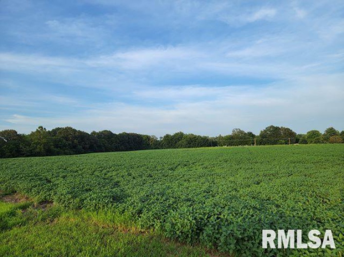 000 MAIN Street, DeSoto, Illinois 62924, 0 , 0 ,0,Land,For Sale,MAIN,0,RMAEB458981
