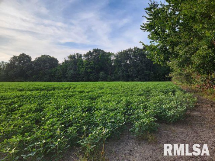 000 MAIN Street, DeSoto, Illinois 62924, 0 , 0 ,0,Land,For Sale,MAIN,0,RMAEB458981