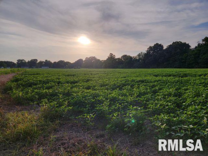 000 MAIN Street, DeSoto, Illinois 62924, 0 , 0 ,0,Land,For Sale,MAIN,0,RMAEB458981