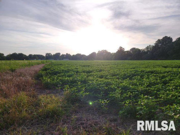 000 MAIN Street, DeSoto, Illinois 62924, 0 , 0 ,0,Land,For Sale,MAIN,0,RMAEB458981