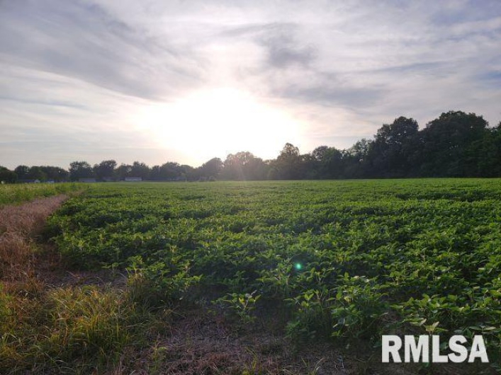 000 MAIN Street, DeSoto, Illinois 62924, 0 , 0 ,0,Land,For Sale,MAIN,0,RMAEB458981