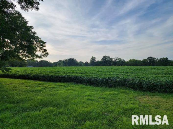 000 MAIN Street, DeSoto, Illinois 62924, 0 , 0 ,0,Land,For Sale,MAIN,0,RMAEB458981