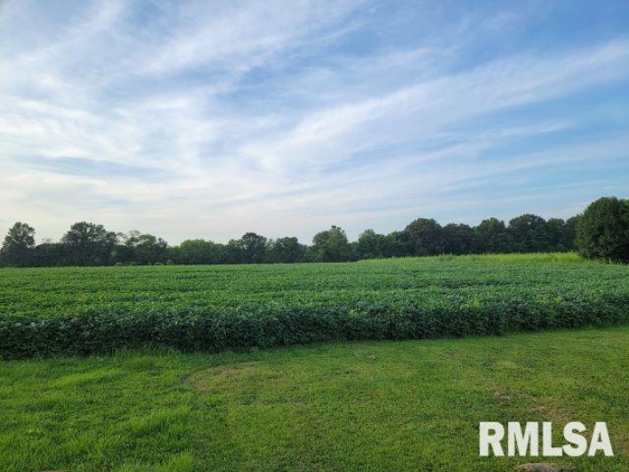 000 MAIN Street, DeSoto, Illinois 62924, 0 , 0 ,0,Land,For Sale,MAIN,0,RMAEB458981