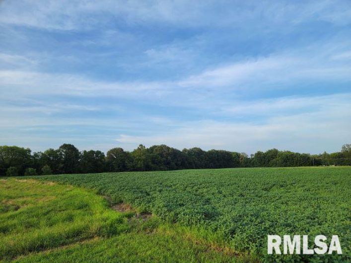 000 MAIN Street, DeSoto, Illinois 62924, 0 , 0 ,0,Land,For Sale,MAIN,0,RMAEB458981