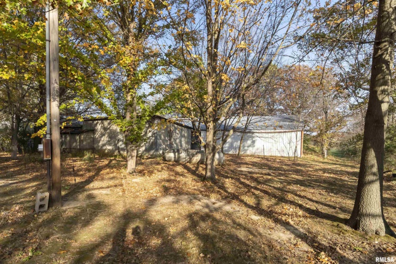 1250 PARK Street, Carbondale, Illinois 62901, 4 Bedrooms Bedrooms, 0 ,1 BathroomBathrooms,Residential,For Sale,PARK,0,RMAEB455822