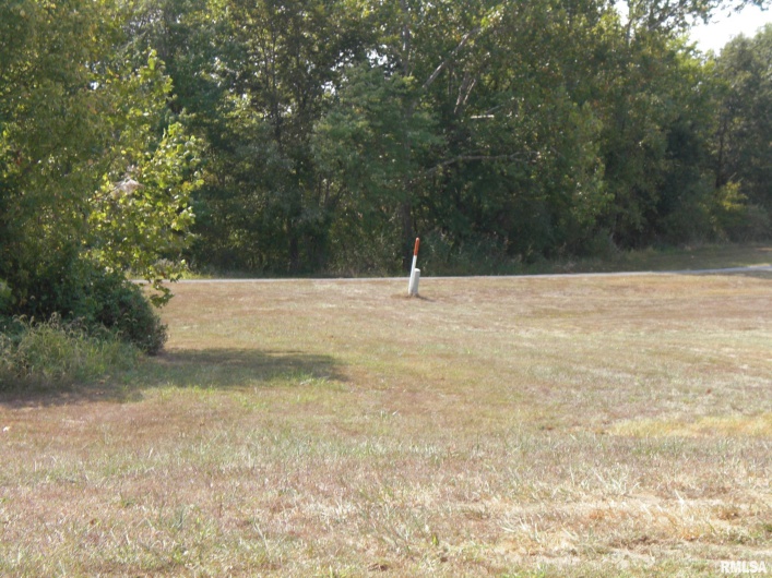 5784 Arctic Fox Drive, Carterville, Illinois 62918, 0 , 0 ,0,Land,For Sale,Arctic Fox,0,RMAEB448050