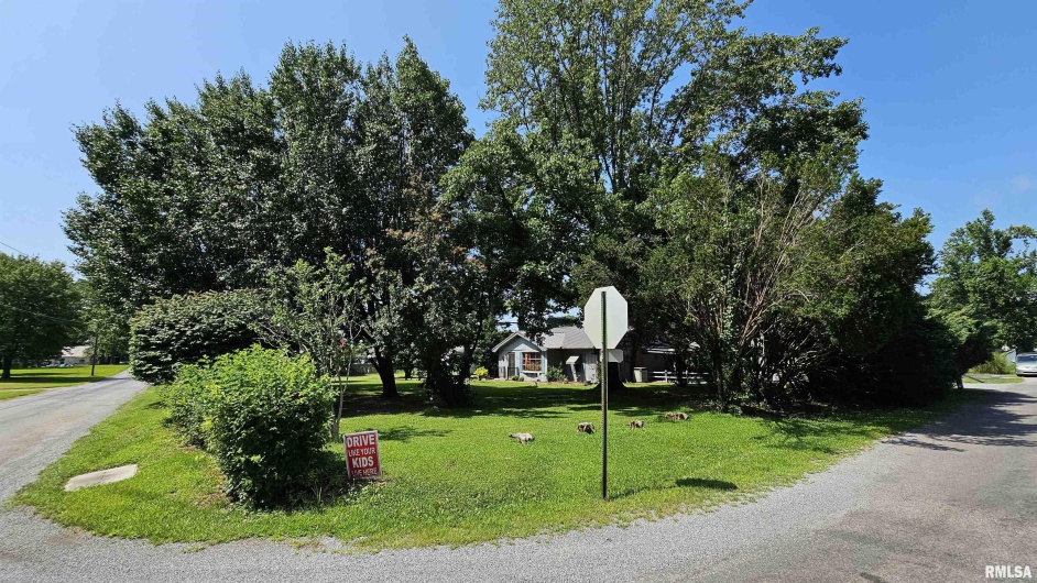 1210 PETERSON Avenue, Johnston City, Illinois 62951, 2 Bedrooms Bedrooms, 0 ,1 BathroomBathrooms,Residential,For Sale,PETERSON,0,RMAEB459033