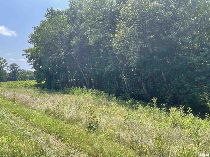 000 State Route 146 W Street, Vienna, Illinois 62995, 0 , 0 ,0,Land,For Sale,State Route 146 W,0,RMAEB459038