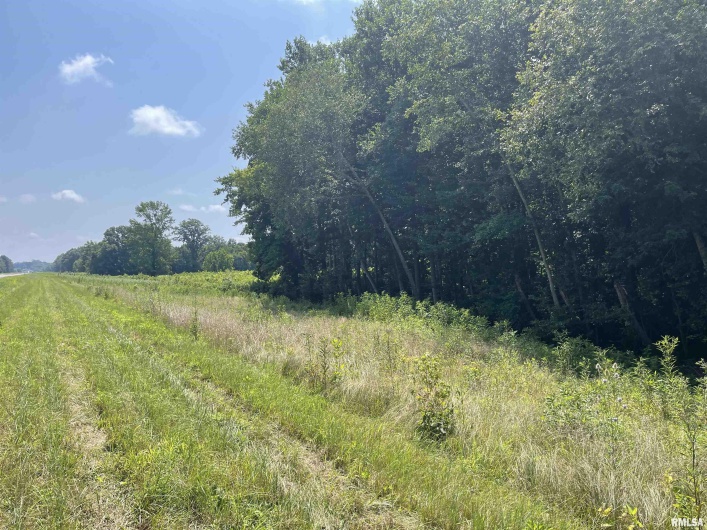 000 State Route 146 W Street, Vienna, Illinois 62995, 0 , 0 ,0,Land,For Sale,State Route 146 W,0,RMAEB459038