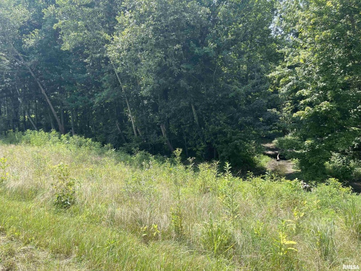 000 State Route 146 W Street, Vienna, Illinois 62995, 0 , 0 ,0,Land,For Sale,State Route 146 W,0,RMAEB459038