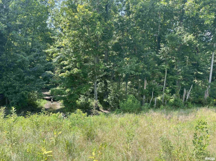 000 State Route 146 W Street, Vienna, Illinois 62995, 0 , 0 ,0,Land,For Sale,State Route 146 W,0,RMAEB459038