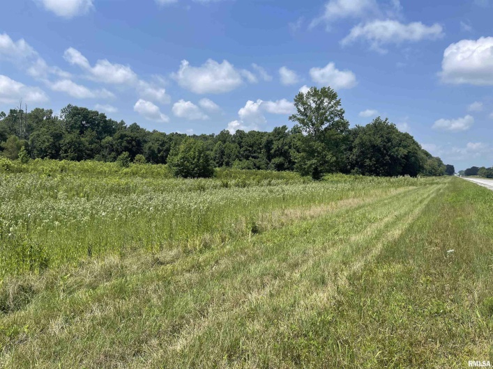 000 State Route 146 W Street, Vienna, Illinois 62995, 0 , 0 ,0,Land,For Sale,State Route 146 W,0,RMAEB459038