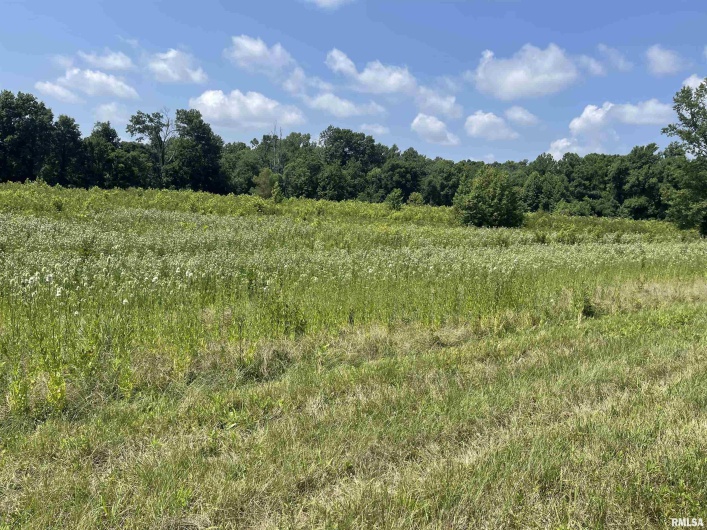 000 State Route 146 W Street, Vienna, Illinois 62995, 0 , 0 ,0,Land,For Sale,State Route 146 W,0,RMAEB459038