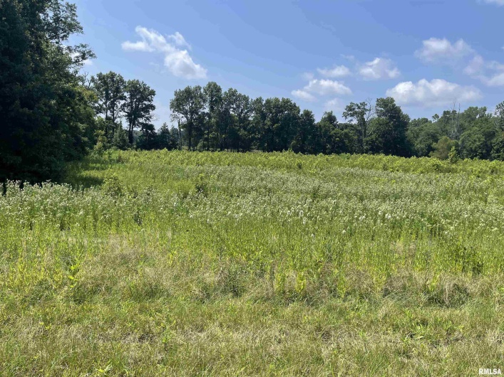 000 State Route 146 W Street, Vienna, Illinois 62995, 0 , 0 ,0,Land,For Sale,State Route 146 W,0,RMAEB459038