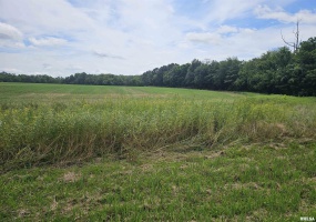 0000 Roseborough Road, Sparta, Illinois 62286, 0 , 0 ,0,Land,For Sale,Roseborough,0,RMAEB459051