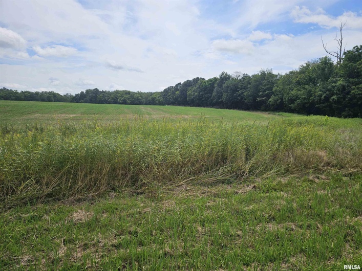0000 Roseborough Road, Sparta, Illinois 62286, 0 , 0 ,0,Land,For Sale,Roseborough,0,RMAEB459051
