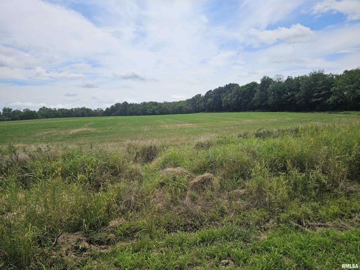 0000 Roseborough Road, Sparta, Illinois 62286, 0 , 0 ,0,Land,For Sale,Roseborough,0,RMAEB459051