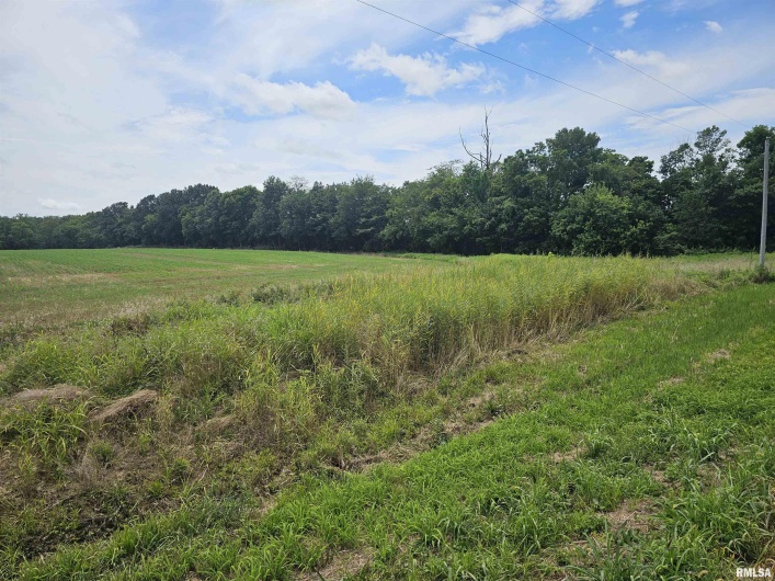 0000 Roseborough Road, Sparta, Illinois 62286, 0 , 0 ,0,Land,For Sale,Roseborough,0,RMAEB459051