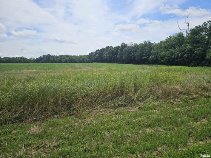 0000 Roseborough Road, Sparta, Illinois 62286, 0 , 0 ,0,Land,For Sale,Roseborough,0,RMAEB459051