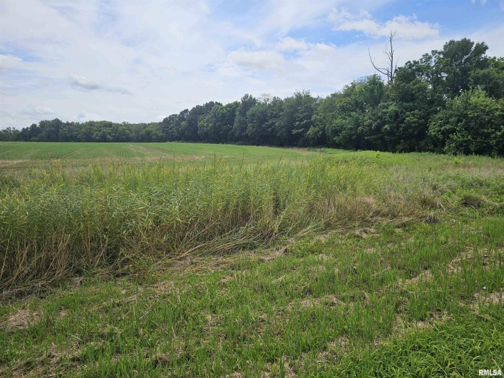0000 Roseborough Road, Sparta, Illinois 62286, 0 , 0 ,0,Land,For Sale,Roseborough,0,RMAEB459051