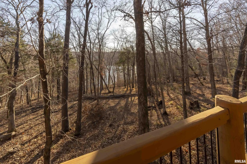 221 Poplar Lake Road, Makanda, Illinois 62958, 5 Bedrooms Bedrooms, 0 ,3 BathroomsBathrooms,Residential,For Sale,Poplar Lake,0,RMAEB459088