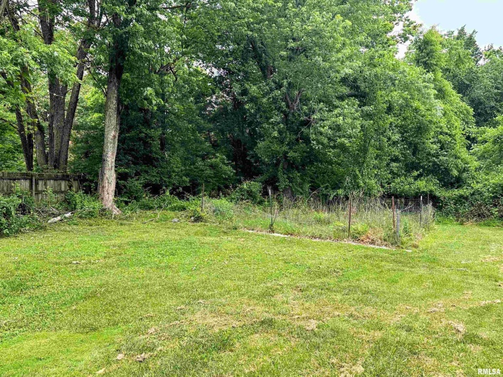 501 CEDAR CREEK Road, Makanda, Illinois 62958, 4 Bedrooms Bedrooms, 0 ,1 BathroomBathrooms,Residential,For Sale,CEDAR CREEK,0,RMAEB458723