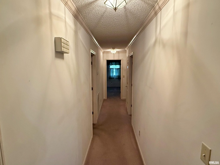 53 JAMES Drive, Metropolis, Illinois 62960, 3 Bedrooms Bedrooms, 0 ,2 BathroomsBathrooms,Residential,For Sale,JAMES,0,RMAEB459118