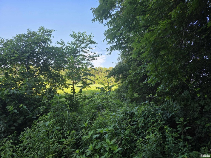 00 Catholic Church Road Road, Golconda, Illinois 62938, 0 , 0 ,0,Land,For Sale,Catholic Church Road,0,RMAQC4265552