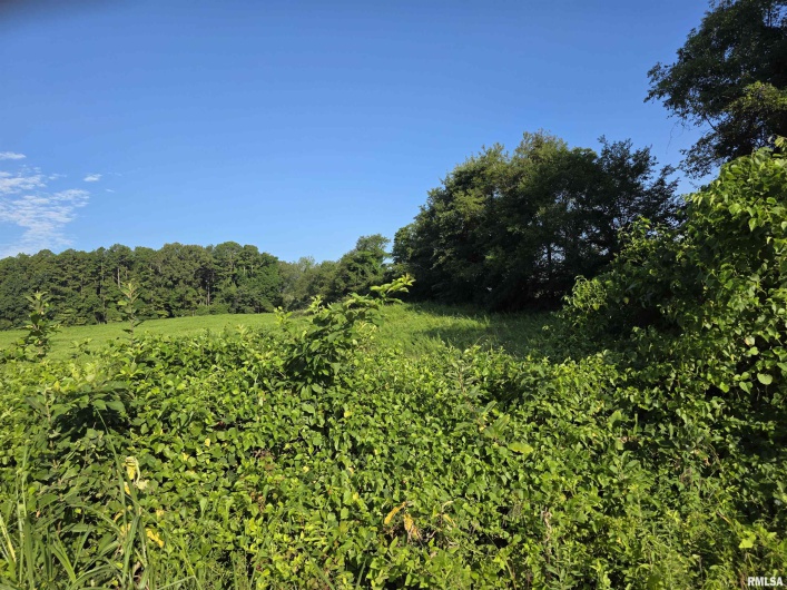 00 Catholic Church Road Road, Golconda, Illinois 62938, 0 , 0 ,0,Land,For Sale,Catholic Church Road,0,RMAQC4265552