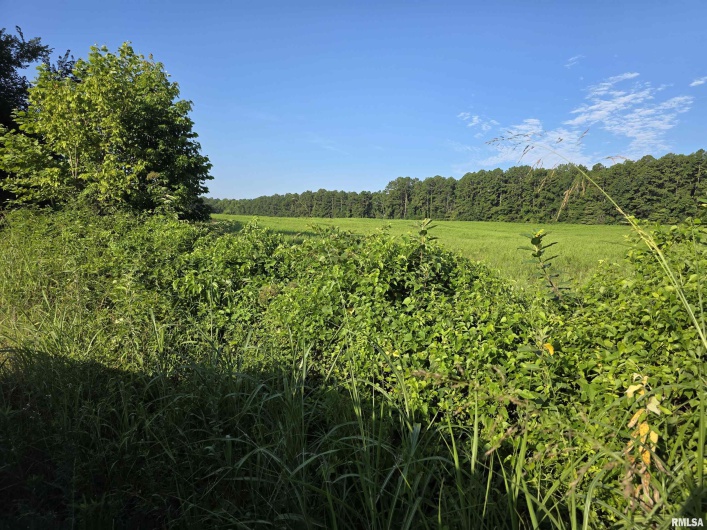 00 Catholic Church Road Road, Golconda, Illinois 62938, 0 , 0 ,0,Land,For Sale,Catholic Church Road,0,RMAQC4265552