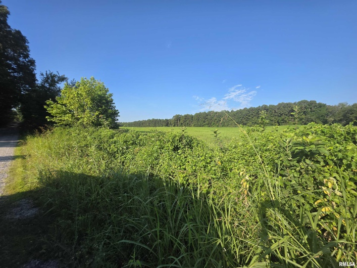 00 Catholic Church Road Road, Golconda, Illinois 62938, 0 , 0 ,0,Land,For Sale,Catholic Church Road,0,RMAQC4265552