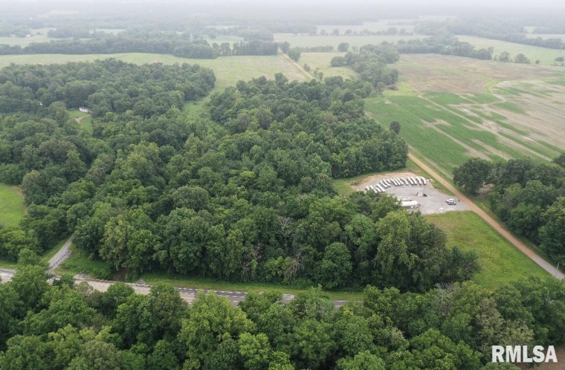 TBD US 45 Road, Brookport, Illinois 62910, 0 , 0 ,0,Land,For Sale,US 45,0,RMAEB459130