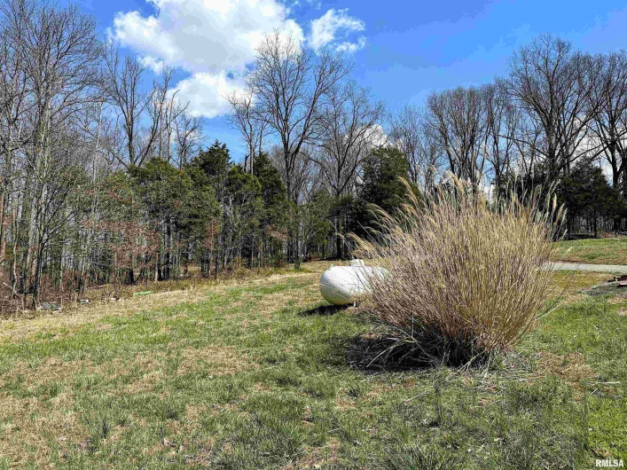 1925a MURPHY Road, Creal Springs, Illinois 62922, 3 Bedrooms Bedrooms, 0 ,2 BathroomsBathrooms,Residential,For Sale,MURPHY,0,RMAEB459169