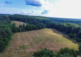 661 Bassett SOUTH County Road, Elizabethtown, Illinois 62931-4413, 3 Bedrooms Bedrooms, 0 ,0,Land,For Sale,SOUTH,0,RMAEB459175