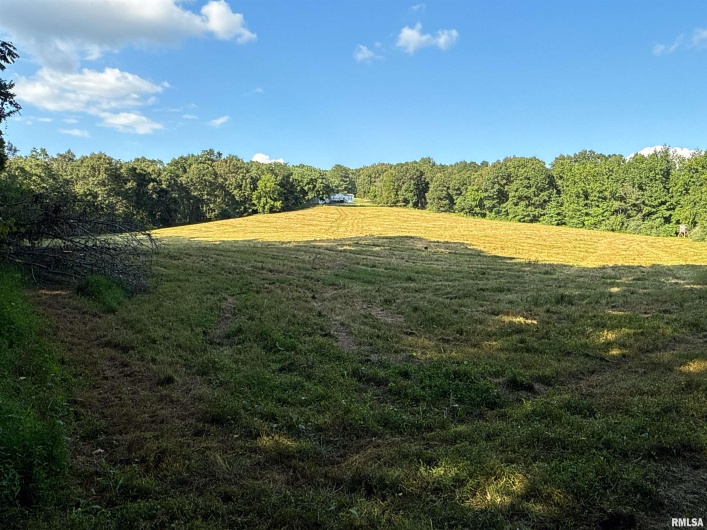 661 Bassett SOUTH County Road, Elizabethtown, Illinois 62931-4413, 3 Bedrooms Bedrooms, 0 ,0,Land,For Sale,SOUTH,0,RMAEB459175